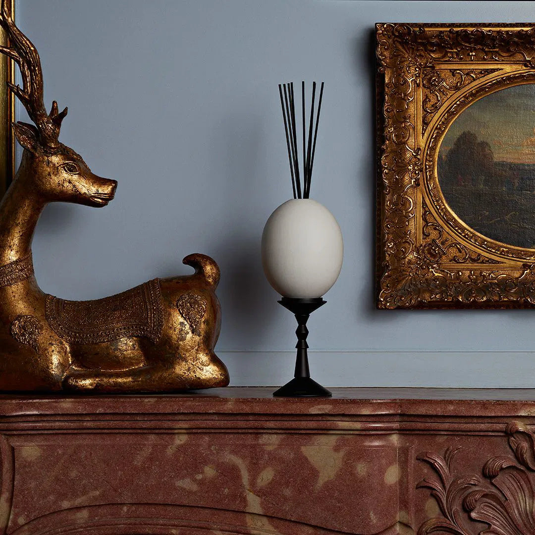 oeuf-ernesto-trudon-maison-diaphane_2