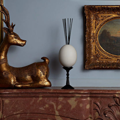 oeuf-ernesto-trudon-maison-diaphane_2