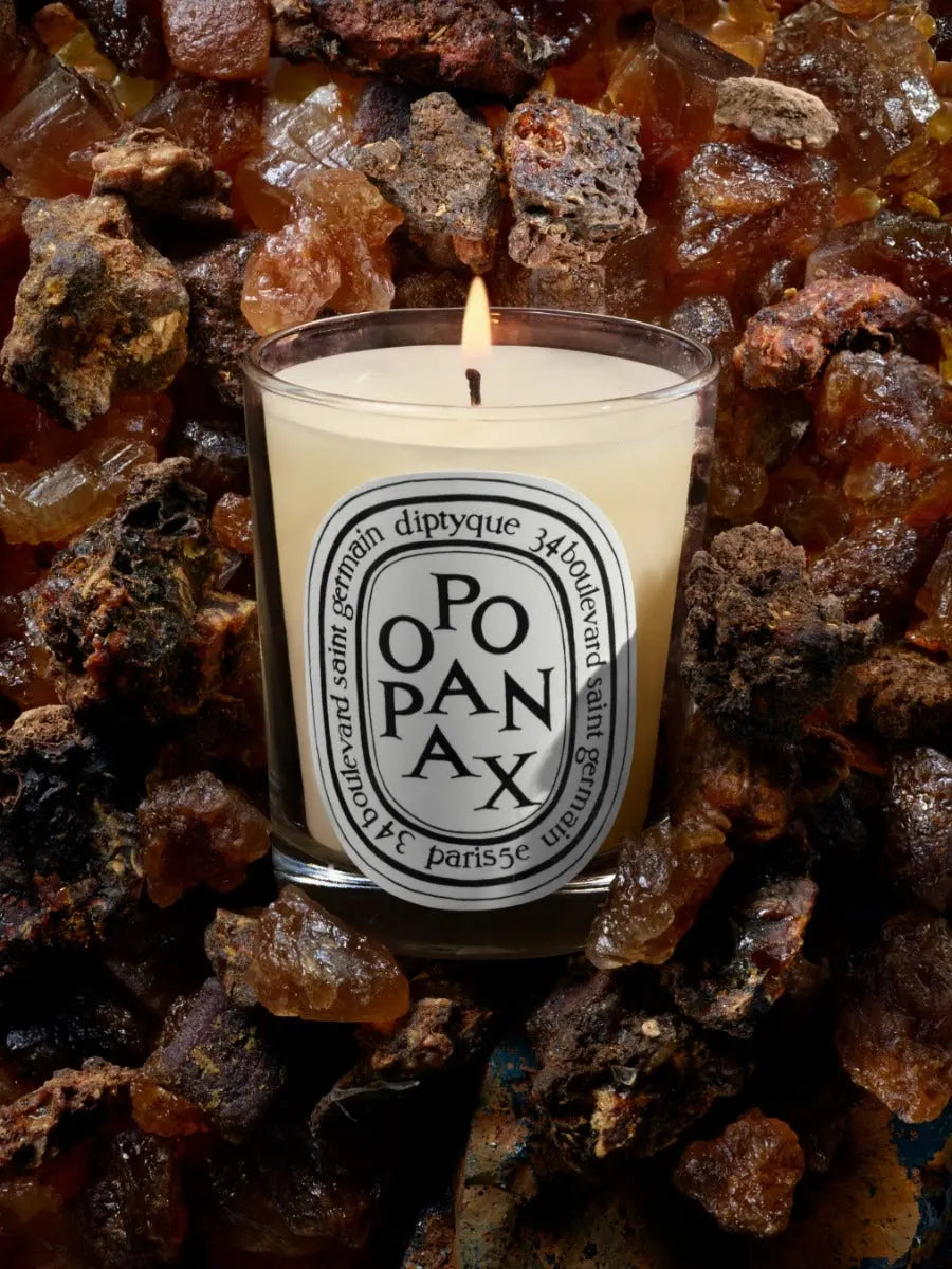 Bougie Opopanax de Diptyque chez Maison Diaphane à Angers