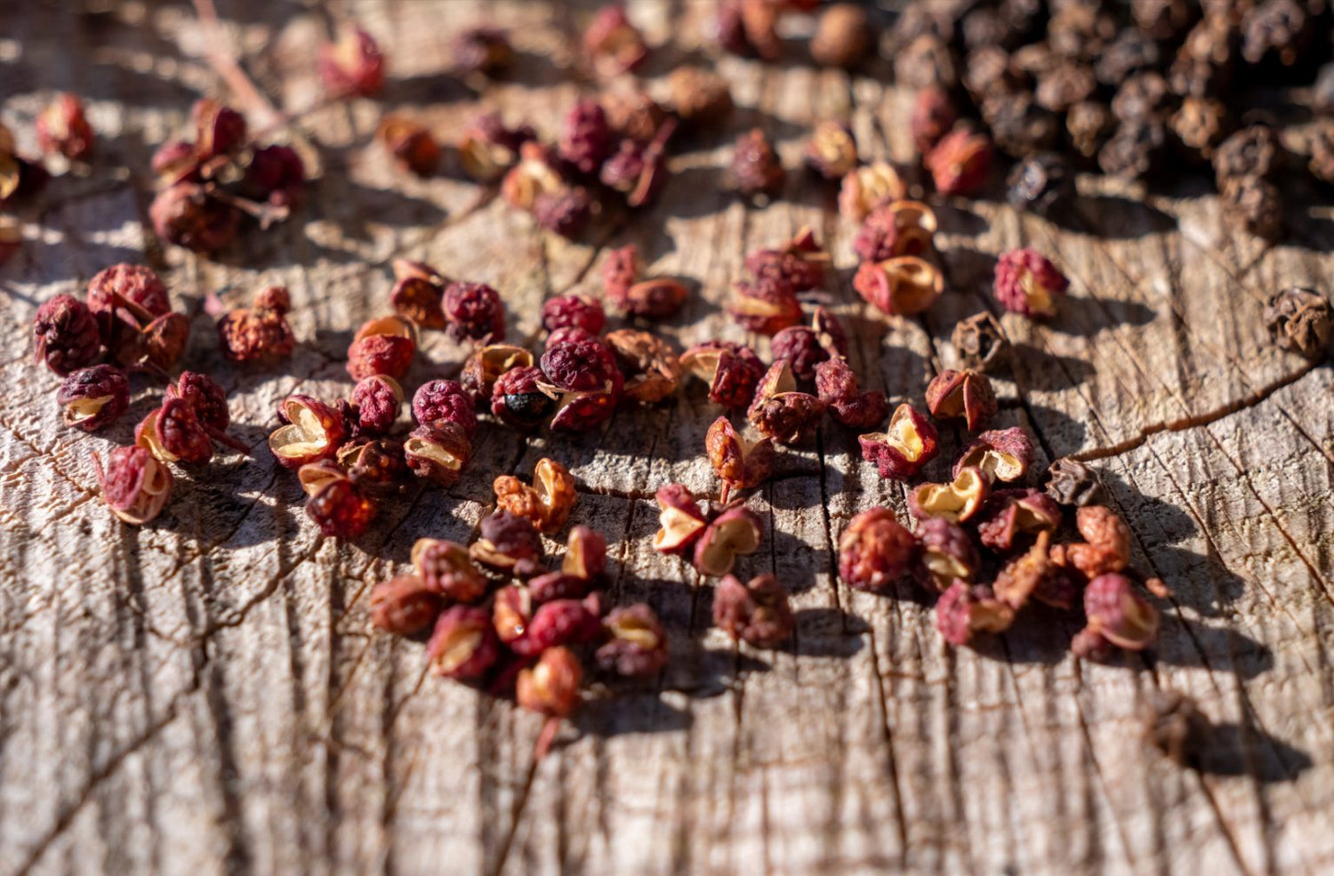 parfum-3-poivres-unika-maison-diaphane_7