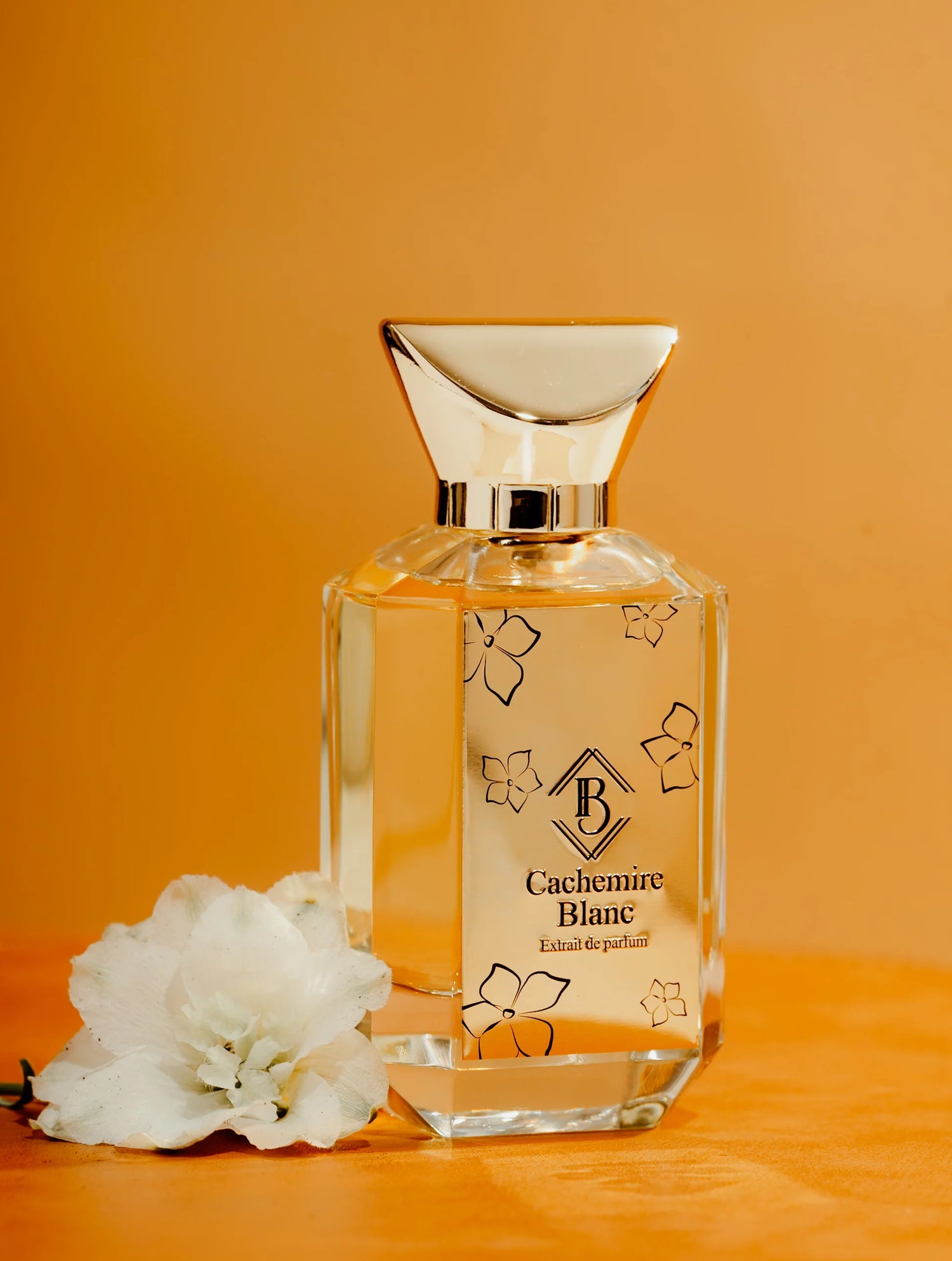 parfum-cachemire-blanc-bey-maison-diaphane