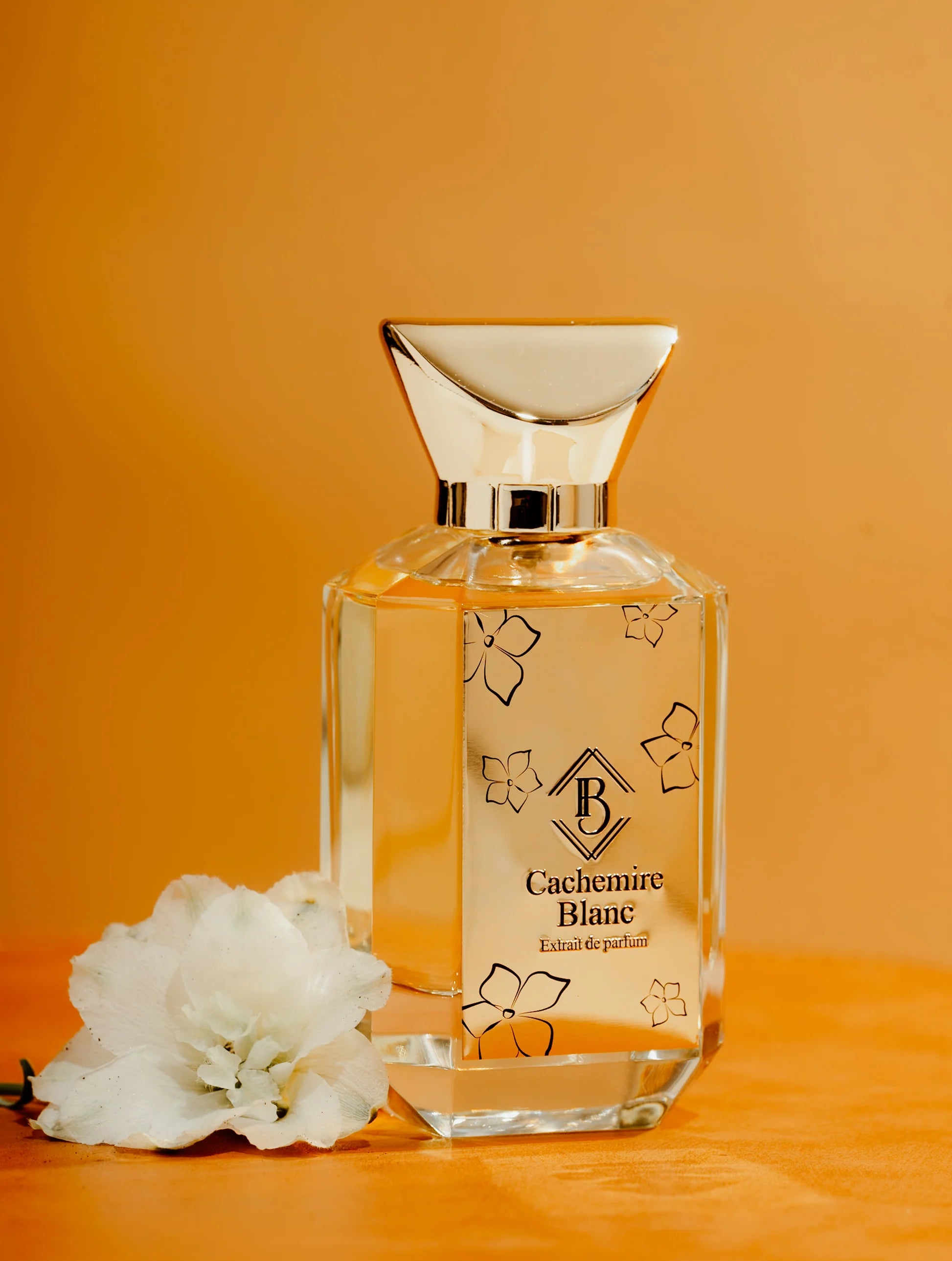 parfum-cachemire-blanc-bey-maison-diaphane