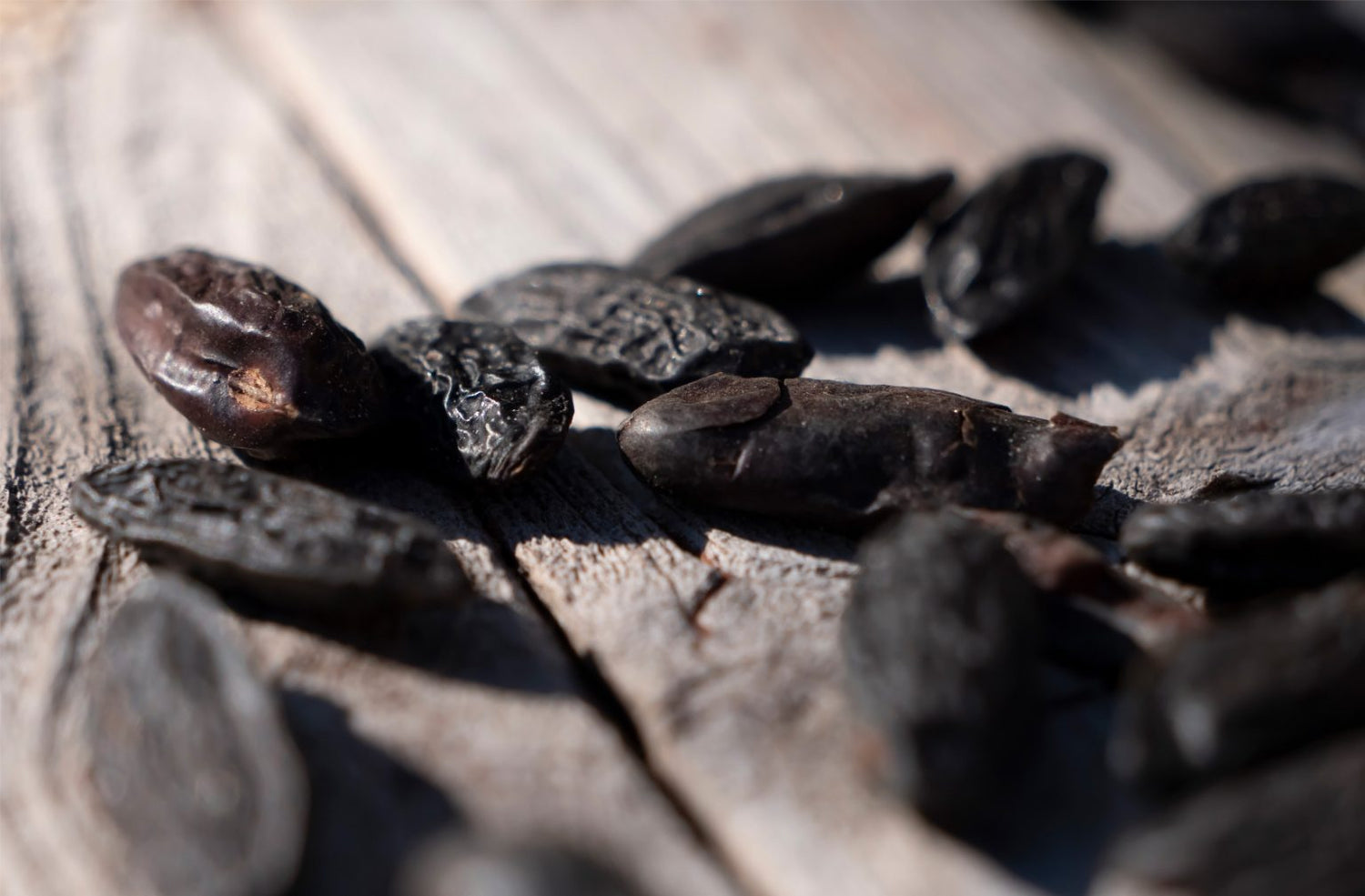 parfum-feve-tonka-sesame-unika-maison-diaphane_6