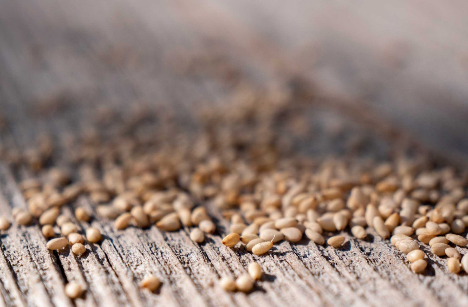 parfum-feve-tonka-sesame-unika-maison-diaphane_7