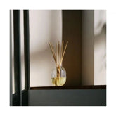 Diffuseur à bâtons 34 Boulevard Saint Germain – vue 2 - Diptyque | Maison Diaphane
