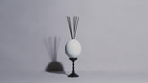 Vidéo Œuf Ernesto de Trudon | Maison Diaphane