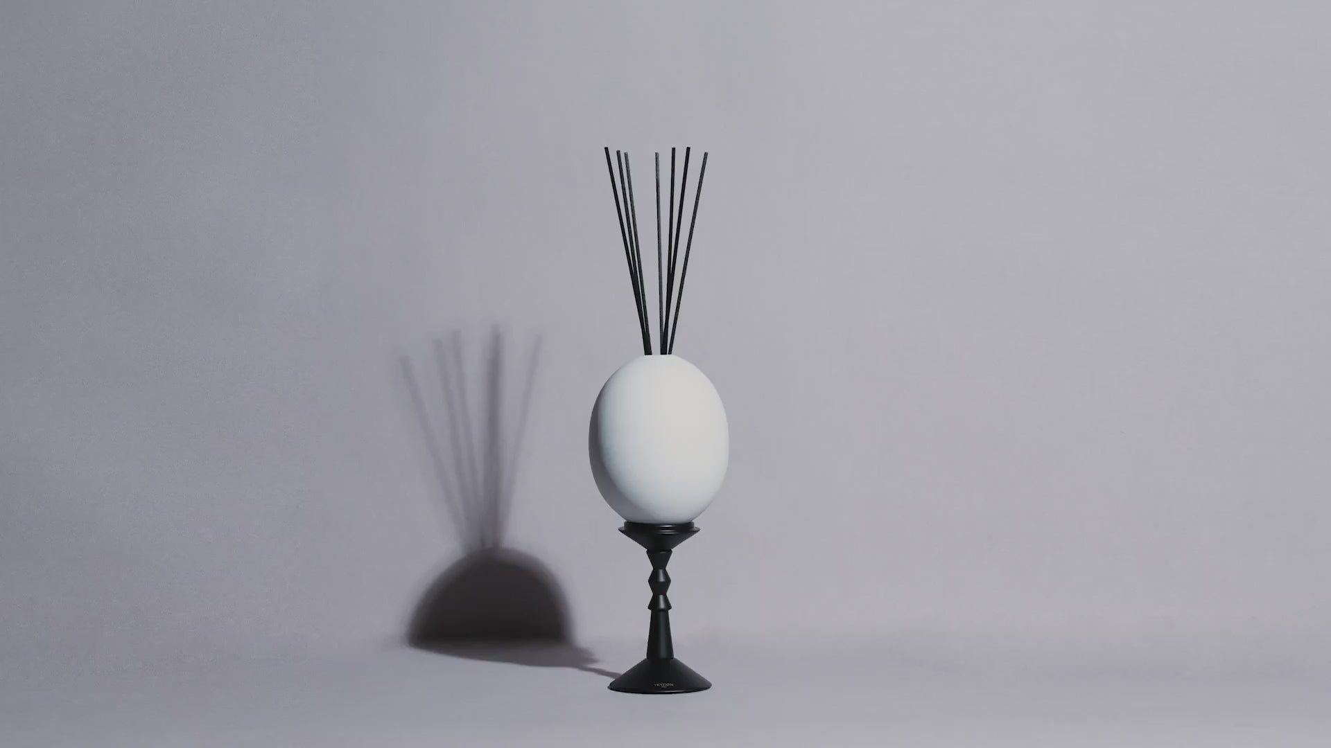 video-oeuf-ernesto-trudon-maison-diaphane