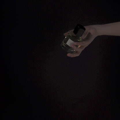 video-parfum-ii-trudon-maison-diaphane