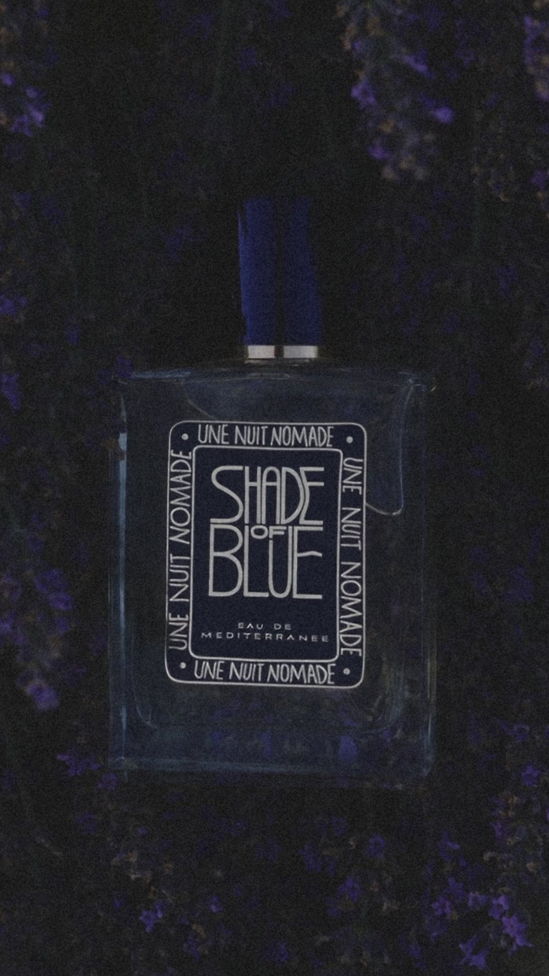 Shade of Blue - Une Nuit Nomade | Maison Diaphane