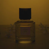 Vidéo parfum Élaé de Trudon | Maison Diaphane
