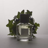 Vidéo parfum Aphélie de Trudon | Maison Diaphane