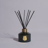 Vidéo diffuseur Gabriel de Trudon | Maison Diaphane