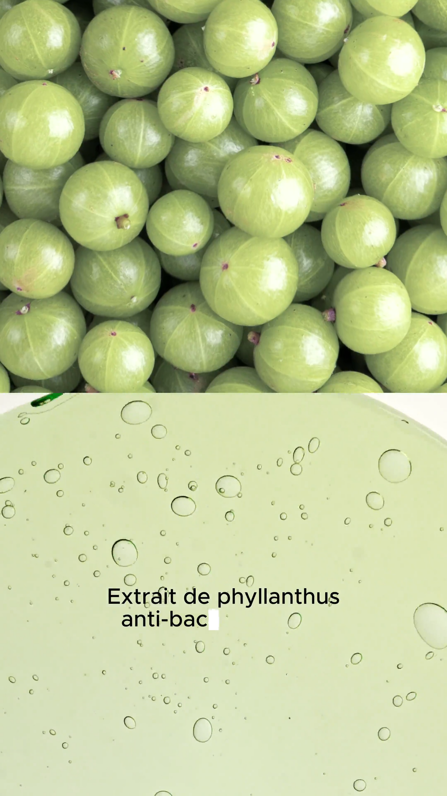 serum-langue-purifiant-intense-the-smilist-maison-diaphane_11