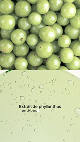 Sérum Langue Purifiant – vue ensemble - The Smilist | Maison Diaphane