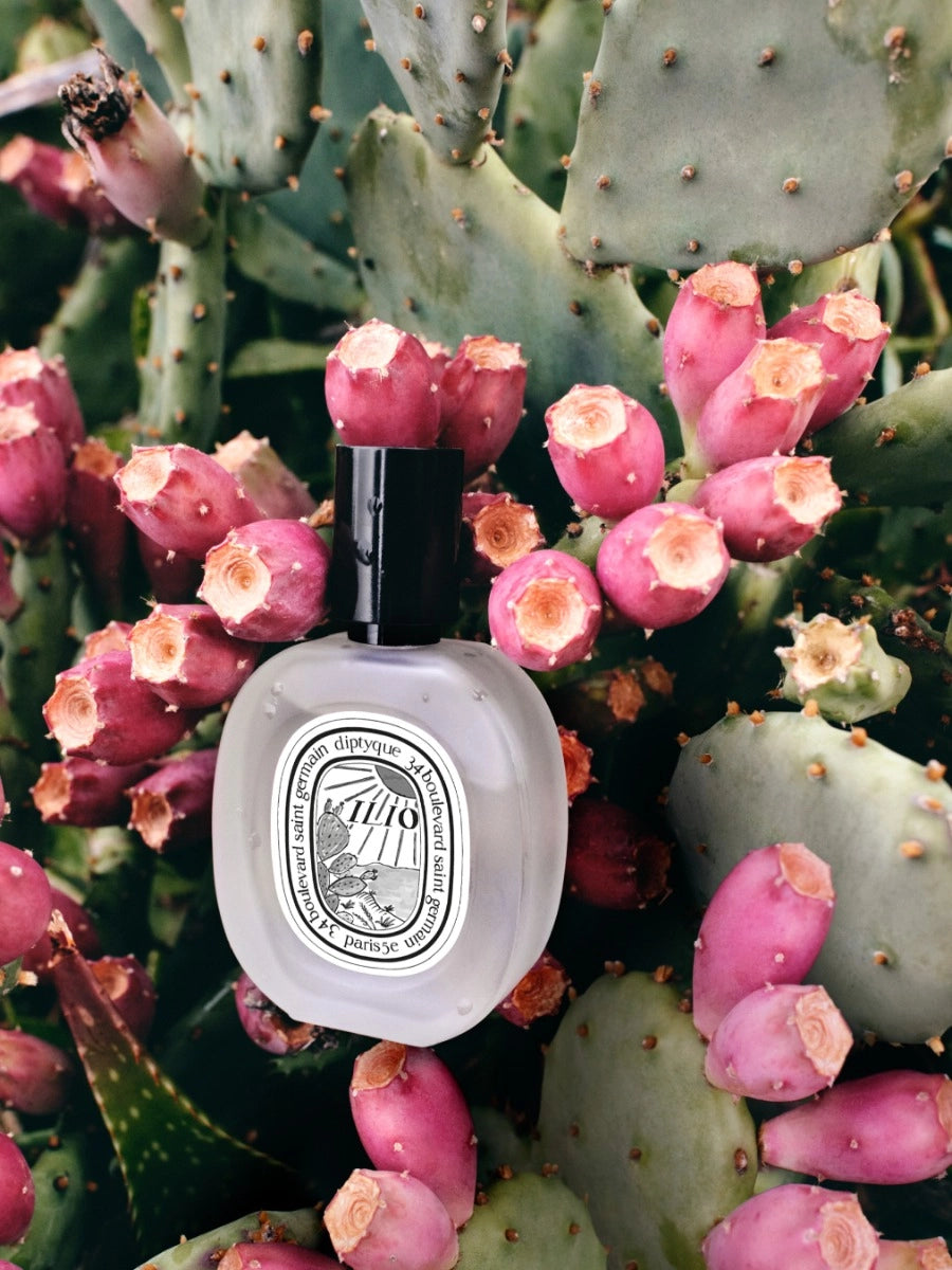 Eau de Toilette "Ilio" - DIPTYQUE